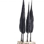 cipressaia-2
