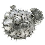 lorenzo-foglia-pesce-istrice-2