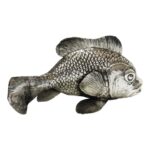 lorenzo-foglia-pesce-rosso-2